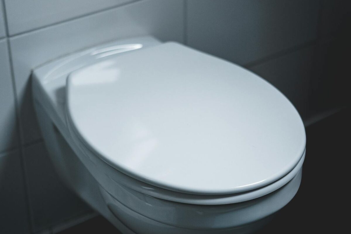 How to Winterize A Toilet