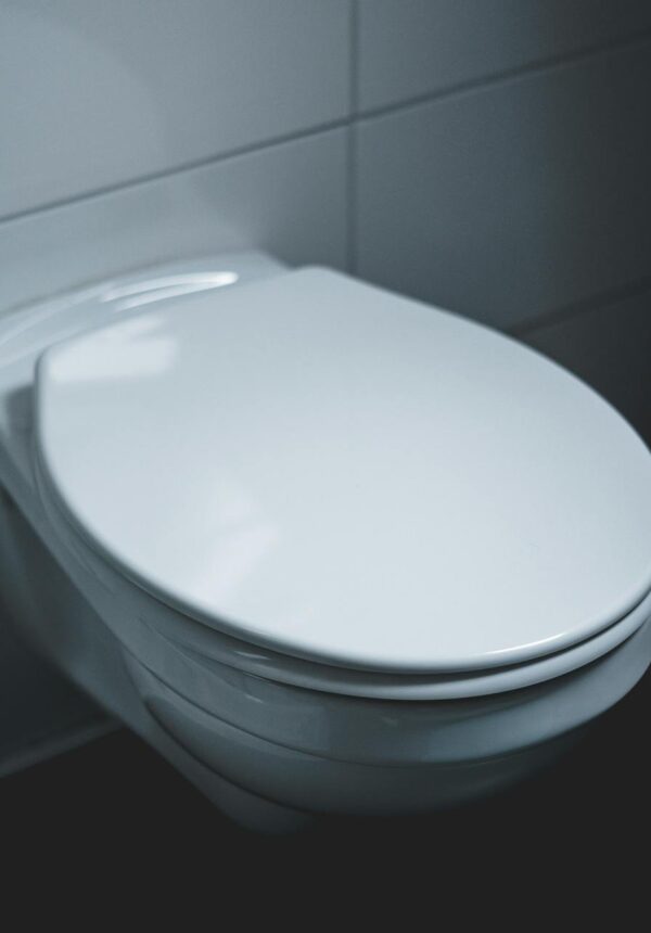How to Winterize A Toilet